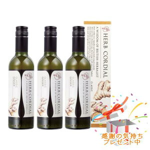 Tree of life ̖ n[uR[fBA L@NVbNWW[ 360mL 3Zbg v[gt