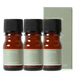 Tree of life ̖ GbZVIC O[vt[c  3mL 3Zbg O܂肽ł