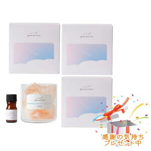 Tree of life ̖ vJg pucarito NX^fBt[U[ ukabu 3Zbg@ v[gt