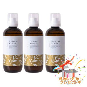 Tree of life ̖ n[u̖pf^X }kJnj[v|X̍ 300ml y򕔊Oiz 3Zbg@ v[gt