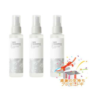 Tree of life ̖ JIfI KaoriDeo hCVv[ VgX~g 95mly򕔊Oiz 3Zbg@ v[gt