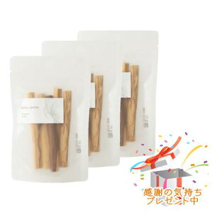 Tree of life ̖ CZX pTgXeBbN 5{ 3Zbg v[gt