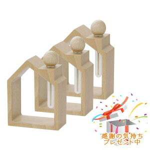 Tree of life ̖ ؂̂ t[ 3Zbg v[gt