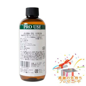 Tree of life ̖ A L@zzoICEo[W S[f  250mL v[gt