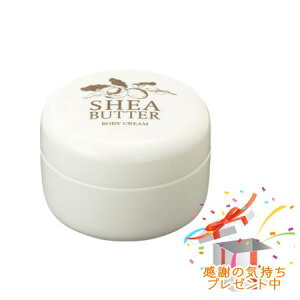 Tree of life ̖ VAo^[ {fB[N[ 140g v[gt