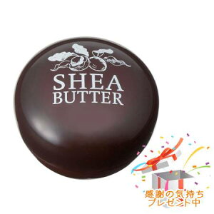 Tree of life ̖ VAo^[ i` M 27g v[gt