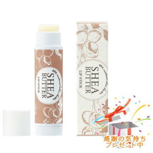 Tree of life ̖ VAo^[ bvXeBbN 14g v[gt