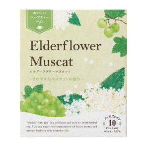 Tree of life ̖ n[ueB[ G_[t[}XJbg(10)@O܂肽ł