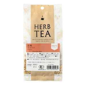 Tree of life ̖ n[ueB[ L@ RX ܓ 20g