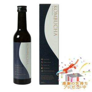 Tree of life ̖ KOMBUCHA`Ru`GbZX` 300mL v[gt