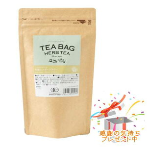 Tree of life ̖ eB[obOn[ueB[ L@ G_[t[ 30 v[gt