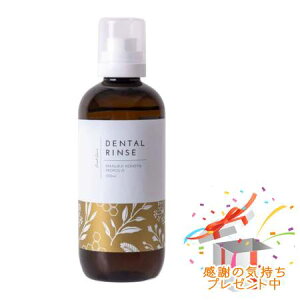 Tree of life ̖ n[u̖pf^X }kJnj[v|X̍ 300ml y򕔊Oiz v[gt