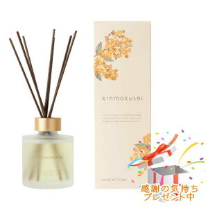 Tree of life ̖ ؍ [hfBt[U[ 120ml v[gt