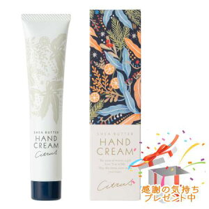 Tree of life �����̖� �V�A�o�^�[ �n���h�N���[�� �V�g���X 45g �v���[���g�t�@���O���܂肽����ł�����