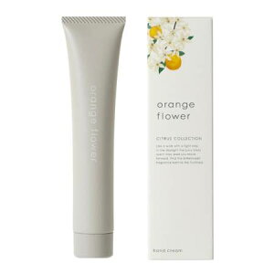 Tree of life ̖ IWt[ nhN[ 45g O܂肽ł