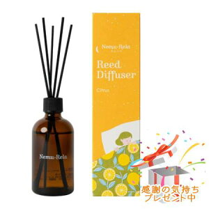 Tree of life ̖ l [hfBt[U[ VgX 100mL v[gt