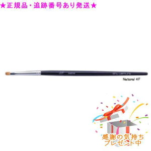 Shu uemura VEEG uV 4F ACVh[/ACCp v[gt