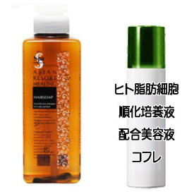 マザーズデイコフレ 送料込 スパトリートメント ヘアソープ 400ml ヒト脂肪細胞美容液コフレ＜4544877503968＞