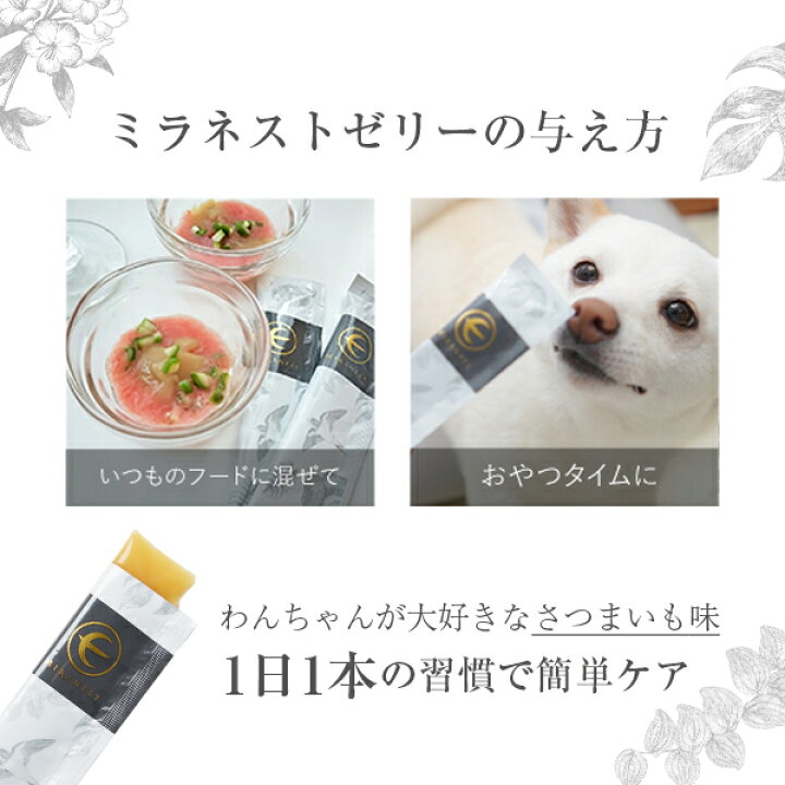 imgrc0099006550.jpg