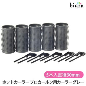 }\ԒP2{+2iw100~OFFN[| pi\jbN (Panasonic) zbgJ[[ vJ[pJ[[ 5{ a30mm O[ EH9034H-05() (Ki)