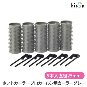 パナソニック (Panasonic) ホットカーラー プロカールン用カーラー 5本入 直径25mm グレー EH9036-H05(大) (国内正規品)