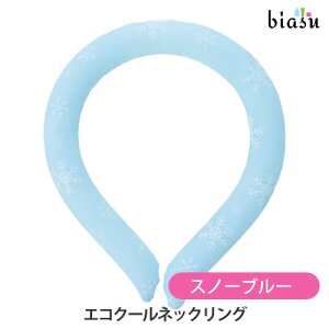 12̓|Cg2{! GRN[lbNO Xm[u[(Ki)