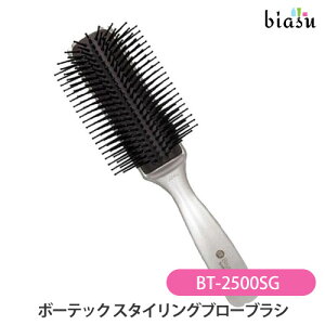 VeSS ベス ボーテック スタイリングブローブラシ 白銀 BT-2500SG(国内正規品)