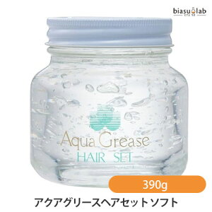 パール化研 アクアグリースヘアセット ソフト 390g (国内正規品)