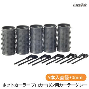 25日19時からポイント2倍 パナソニック (Panasonic) ホットカーラー プロカールン用カーラー 5本入 直径30mm グレー EH9034H-05(大大) (国内正規品)