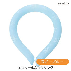 12̓|Cg2{! GRN[lbNO Xm[u[(Ki)