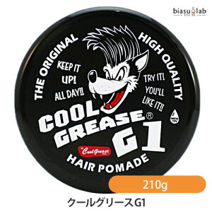 12P2{+ő2000~OFFN[| N[O[X G1 () 210g X[p[n[h^Cv () (Ki)