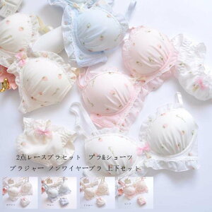  WF[ Jԃu ZNV[ V[cZbg  u V[c  2_Zbg  u uW[   ZbgAbv ㉺Zbg bra set uZbg ʋC 