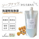 ソープナッツ からうまれた 洗濯用洗浄液 洗濯洗剤 ムクロジ オーガニック 香料不使用 蛍光増白剤不使用 漂白剤不使用 合成界面活性剤不使用 安定化剤、pH調整剤不使用 ナチュラル 天然素材 エコ エシカルクアントバスタ