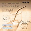 ステンレスストロー キッズ 2本セット 子供用 エコストロー ストロー 曲がりタイプ ストレートタイプ 短め ステンレス…