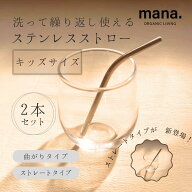 ステンレスストロー キッズ 2本セット 子供用 エコストロー ストロー 曲がりタイプ ストレートタイプ 短…