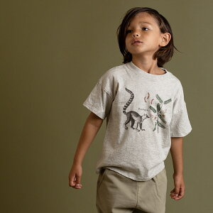 q tVc t ILclU  Be[W eCXg LbYtVc ǂ uh ǂ jZbNX j̎q ̎q  킢  fUC  LbY