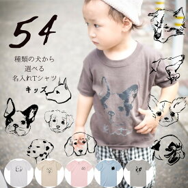 楽天市場 柴犬 服 キッズ ベビー マタニティ の通販 楽天市場 柴犬 服 キッズ ベビー マタニティ の通販