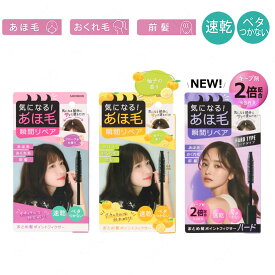 クイックリペアブラシ まとめ髪ポイントフィクサー PTヘアフィクサー PT43326 KT12476 PT81590 SHOBIDO 粧美堂 送料無料（ アホ毛 マスカラ スティック アホ毛直し あほげ 長時間キープ まとめ髪 ヘアケア ヘアスタイリング 前髪キープ ）