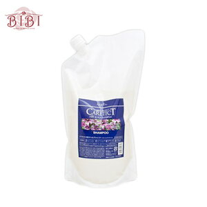 iv PAeNgHB XLvVv[ tBi1200mljyVv[zylߑւpznapla CARETECT HByTꔄiz