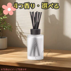 y4퍁zRXfRe / COSME DECORTE@tOXfBt[U[ tB lւp 100mLiNX^eB[ / yAEbfB / [Y~Q / IX}TXj rO Q F