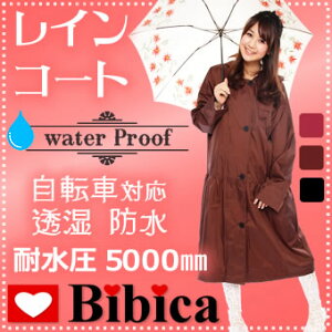 hyTCNCR[gz킢 ] h BIBICAIWi ͖h