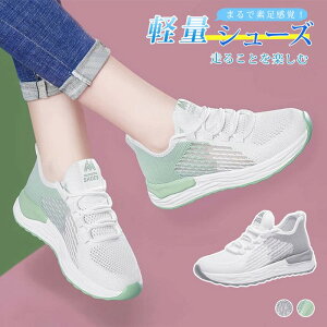 KŏȂ Xj[J[ fB[X jbg EH[LOV[Y  CX^f Jt  jbg knit X|[cGANbV [Jbg y ʊw Xb| jO