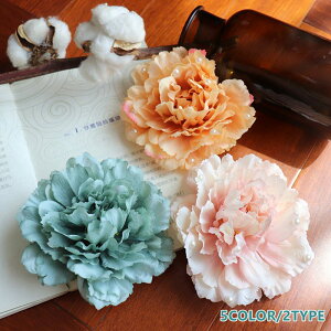 wbhANZ wbhANZT[l  U a  S5F {^ RT[WwbhhX EFfBO EGfBO   a a uC_ wAANZ wAANZ