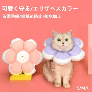 ꕔZ[ GUxXJ[  L \tg \tgGUxXJ[ ^ ybgpi  \tg _炩 y cC r ~h~ ی p̃PA  PK pE