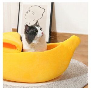 ҏ!yIׂ邨܂tzybgxbh oii^ oii  ybgxbg L xbh Lxbh ybgnEX L Lp p ybgp xbh  킢 LObY  ^