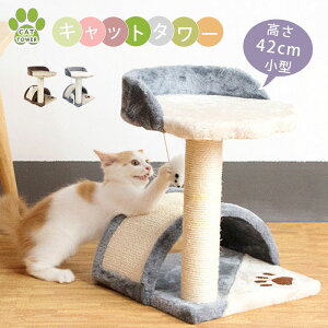 Lbg^[ u ܂Ƃ  |[ ^ 42cm ^ ܂Ƃ W] ؂ւ ܕ  L[g ^ qL VjA ^s L gݗ ݒu ȒP L ȃXy[X RpN