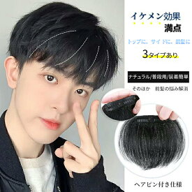 即納 前髪のみ ウイッグ メンズ 男性 かつら 自然 ナチュラル カツラ 前髪 黒髪 短髪 ビジネス用 ボリュームアップ クリップ式 フルウィッグ ショート 父の日 普段使い 軽量 通気性 装着簡単 ヘアスタイリング 簡単 フリーサイズ 元気