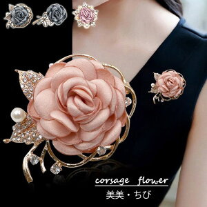 ^Cv3̃sN[ RT[W w s Ǝ  w  }}X[c tH[}RT[W  t[ u[`   w  ΂ coL p[eB[h