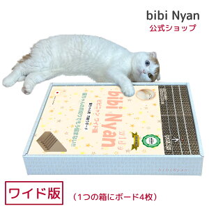 yzbibi Nyan rrj ChŁi14) ܐ؂sv@Lp܍{[h X ܂Ƃ{[h bt 擾 yz Lܐ؂ L܂Ƃ