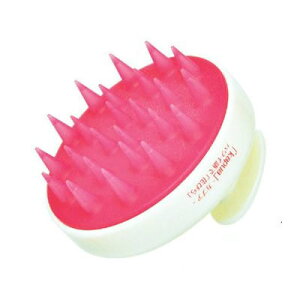 Vv[uV JvA kapua ̓ Mtg v[g